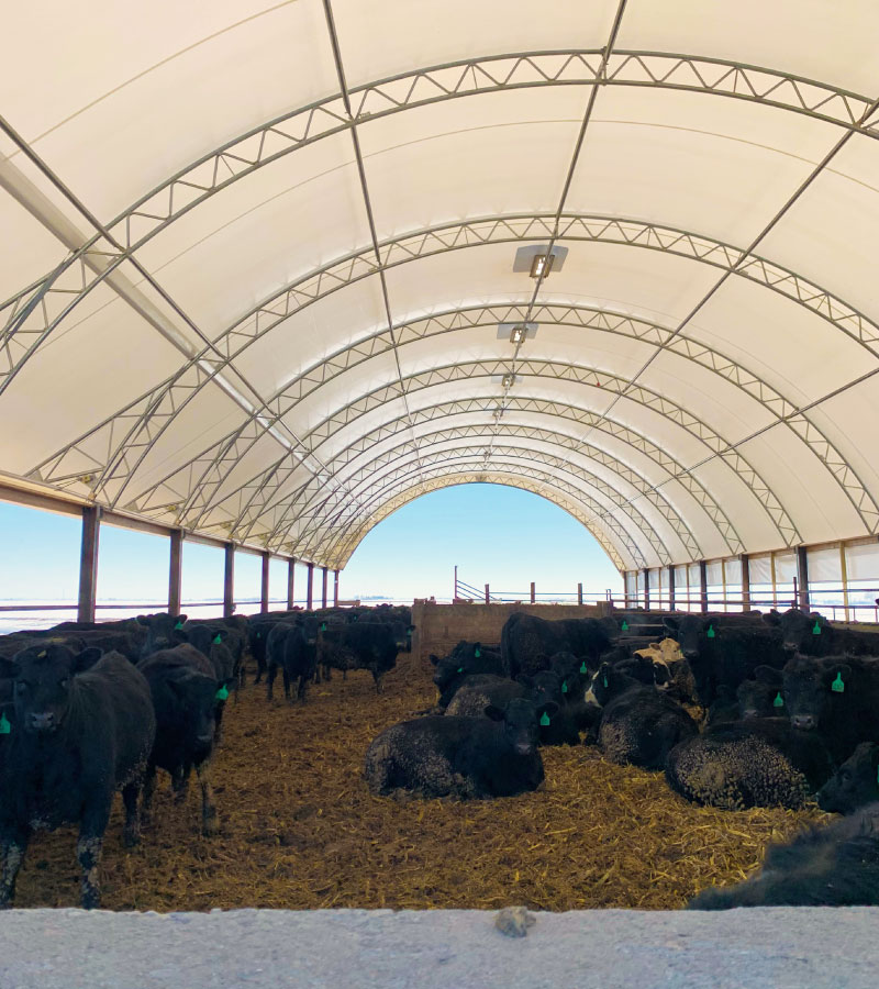 Customized Livestock Barns | Hoop Buildings